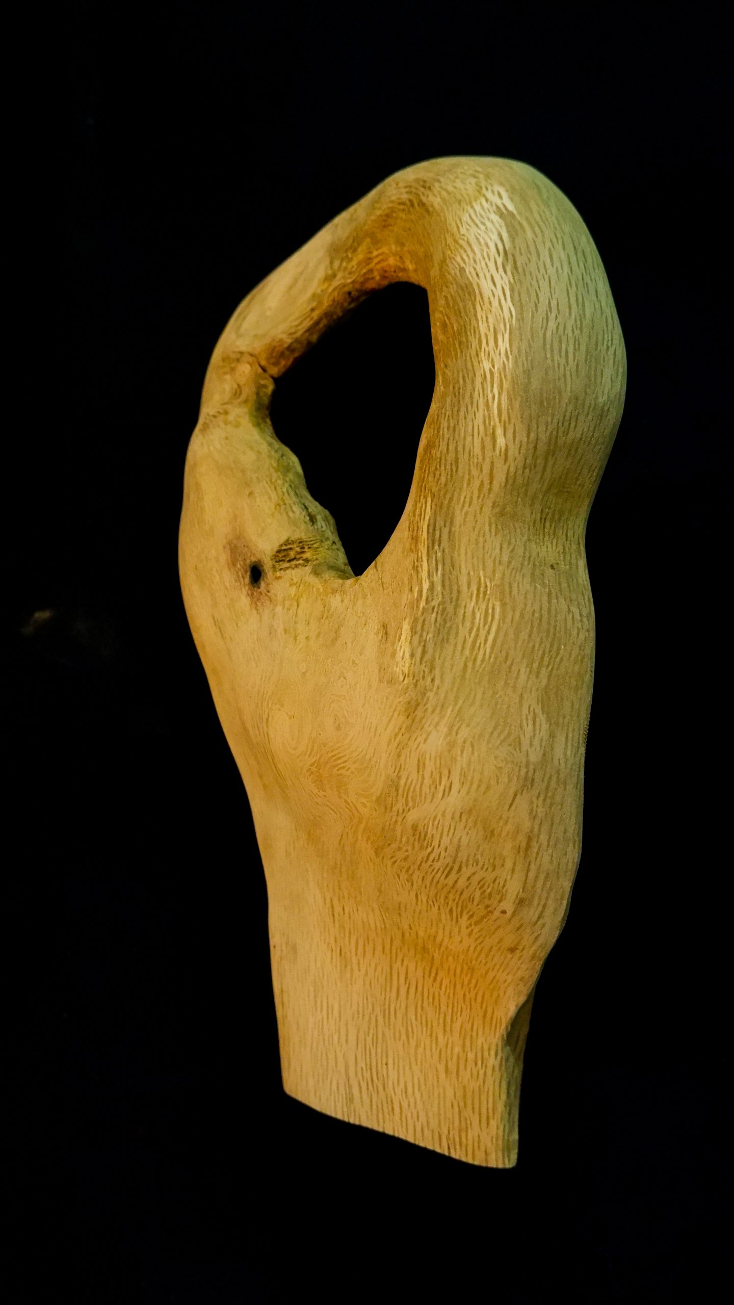 DSCF0547