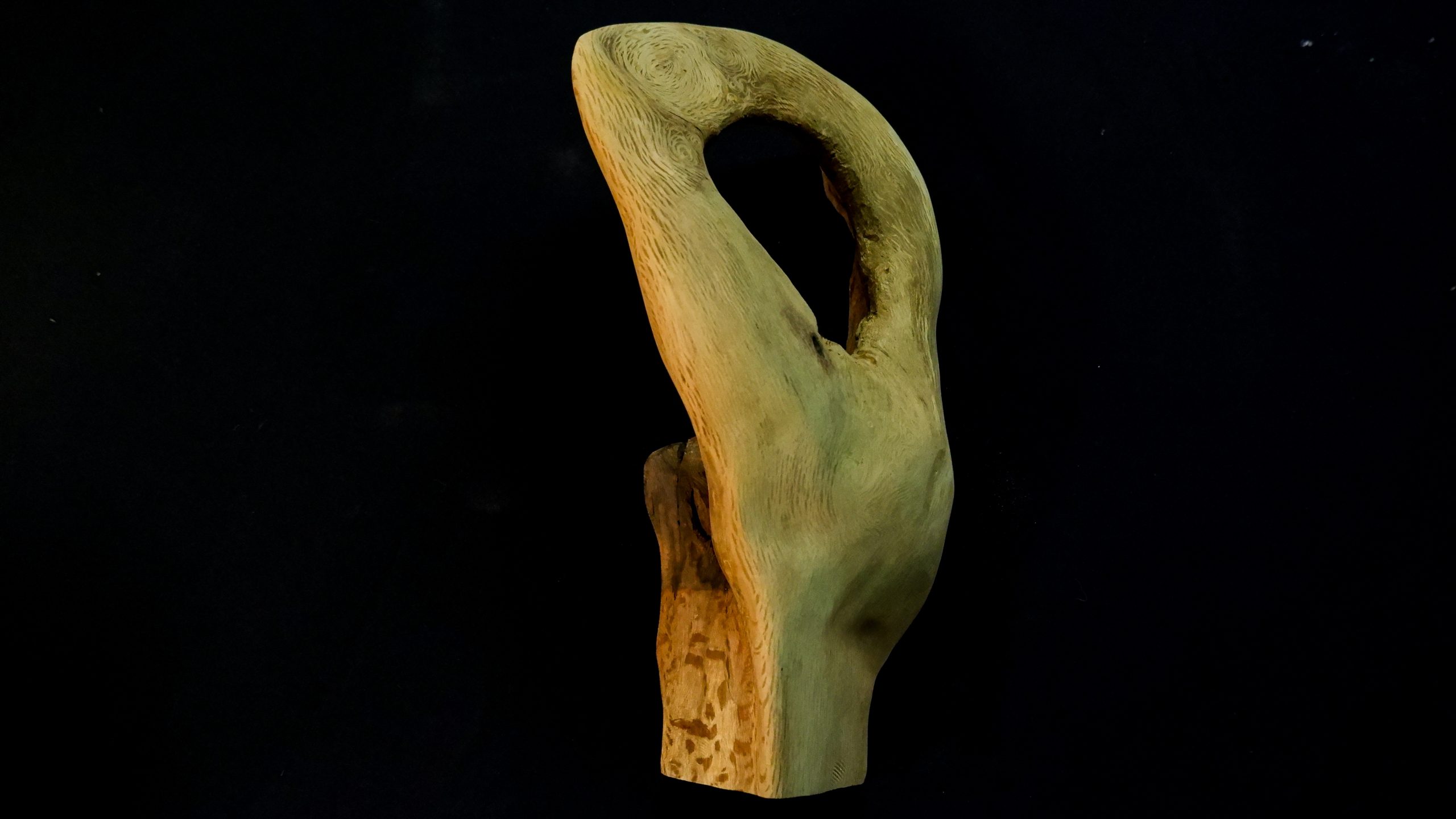 DSCF0550
