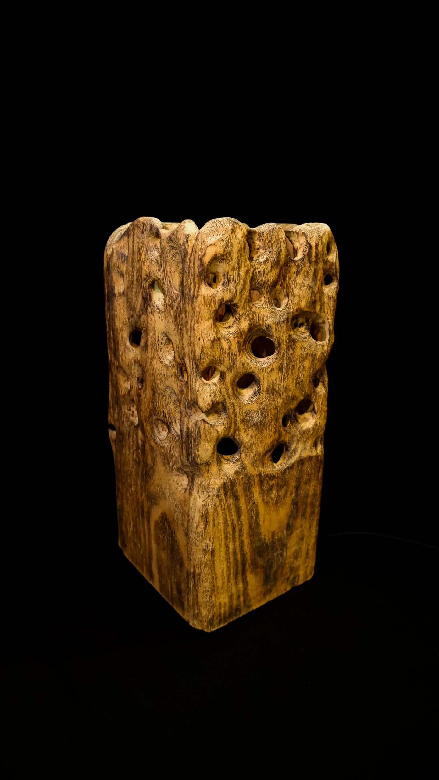 Termita 3